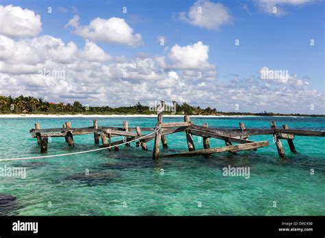 Pelican Sitting Hi Res Stock Photography And Images Alamy