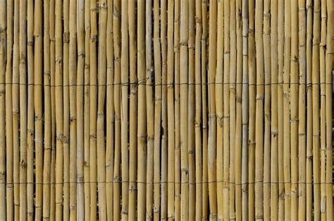 Texture Jpeg Bamboo Fence High