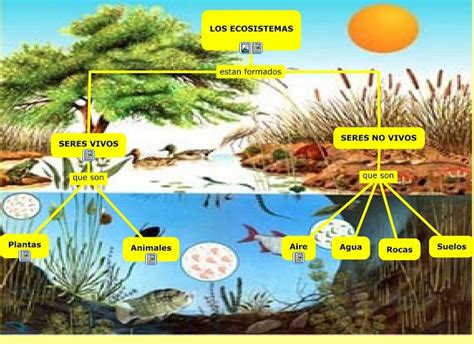 Cuadros Sin Pticos Sobre Ecosistema Y Mapas Conceptuales Sobre