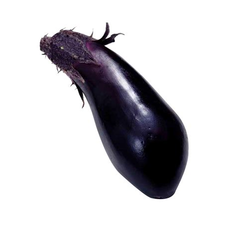 Eggplant Vegetable Eggplant Png Download 29532953 Free
