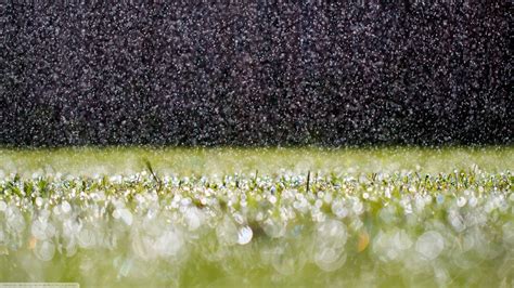 X Raindrops On Grass P Resolution Hd K Wallpapers Images
