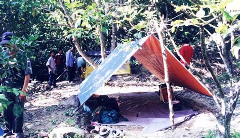 Jenis ayam ketiga adalah ayam kapas. MUKMIN BACKPACKERS: ROAD TO GUNUNG BINTANG: ILMU HUTAN