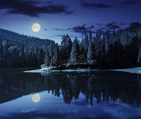 Lake Near The Mountain In Pine Forest At Night Stock Photo Image Of