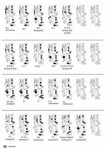 Bassoon Charts Flageolet Dual Tones