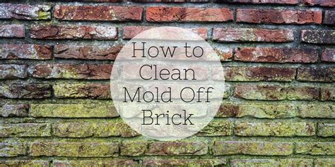 How To Clean Mold Off Brick Complete Guide