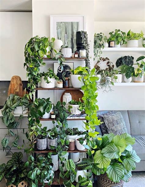 150 Houseplants Transform This Compact Condo Into A Lush Oasis In 2021