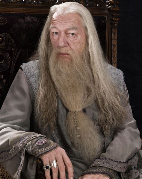 Things You May Not Have Noticed About Albus Dumbledore Wizarding World