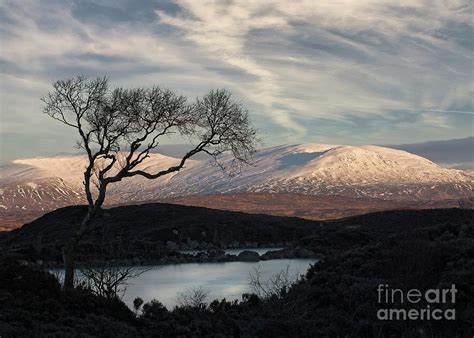 Rannoch Moor Winter Landscape 2 Photograph By Philip Preston Fine