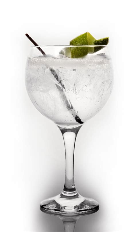 Beautifully Imperfect The Secret To A Perfect Gin Tonic El Gin My Xxx Hot Girl