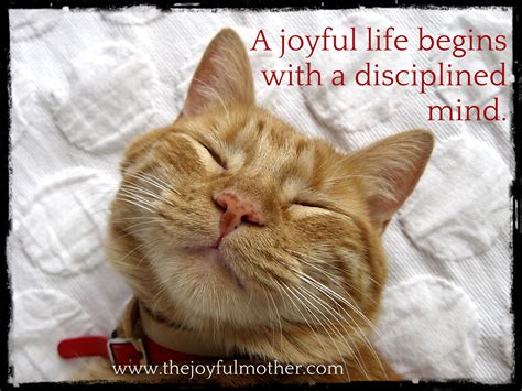 Animal Mother Quote : Inspirational Quote | A joyful life begins with a