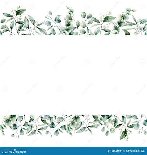 Watercolor Eucalyptus Seamless Banner Hand Painted Eucalyptus Branch