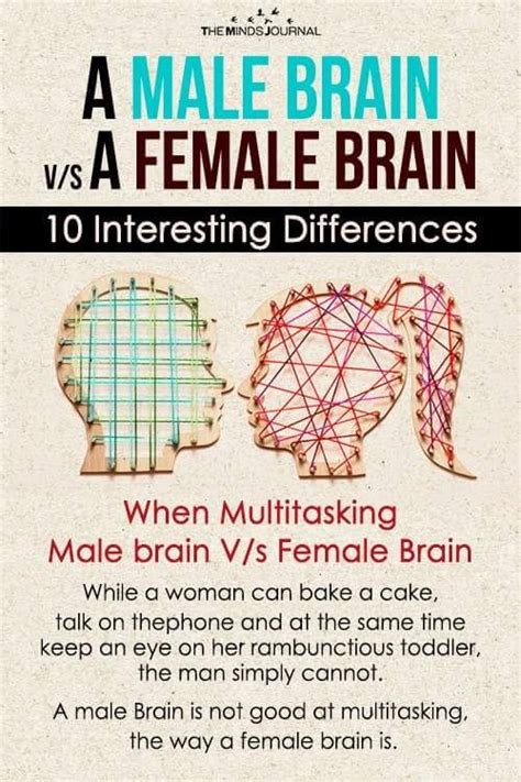A Male Brain V S A Female Brain 10 Interesting Differences Brain Facts Psychology Facts