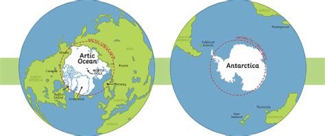 What Are The Arctic And Antarctic Twinkl Homework Help