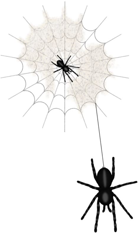 Widow Spiders Clip Art Spider Web Animation Png Download 8001334