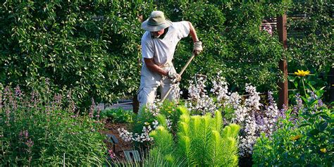 Help For The Home Gardener