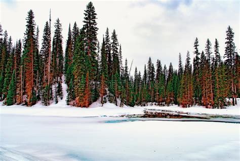 Emerald Lake Lodge Sitting Tall Through Diverse Canadian