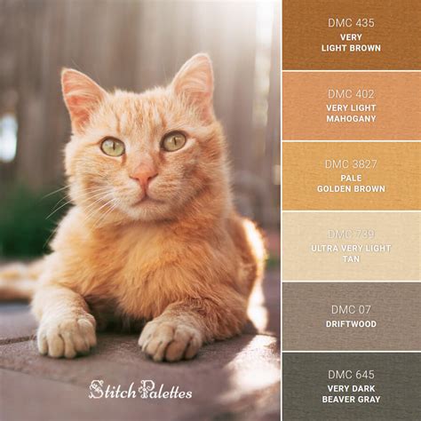 Orange Tabby Cat Embroidery Color Palette With Thread Codes