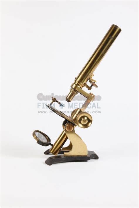 Compound Microscope Curious Science