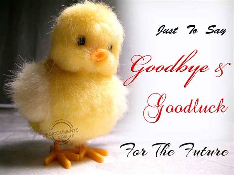 Cute Quotes About Saying Goodbye Quotesgram