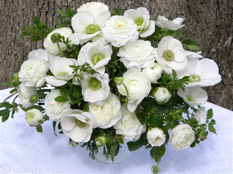 Wedding Flowers From Springwell Elegant White Ranunculus