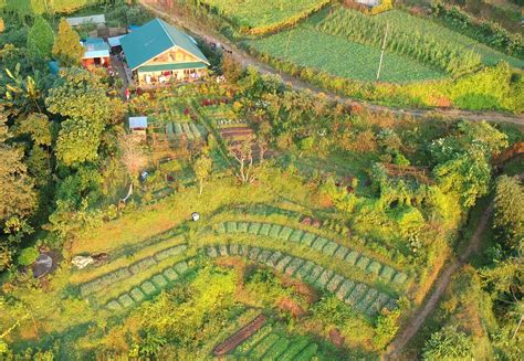 Permaculture In Nepal Beyond Sustainable Regenerative Agriculture