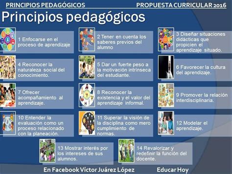 Principios Pedagógicos Modelos De Enseñanza Principios Pedagogicos