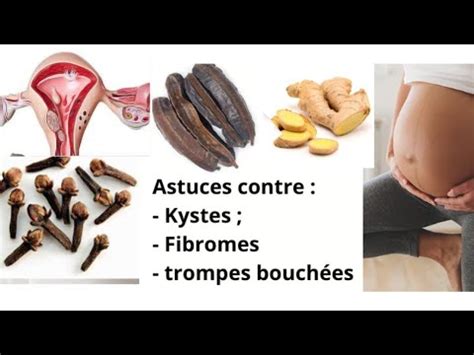 Tomber Enceinte Naturellement Astuces Efficace Contre Fibromes Kystes