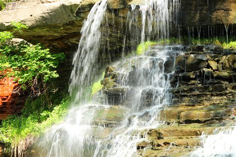 Forest Waterfall Rocks Free Stock Photo Public Domain