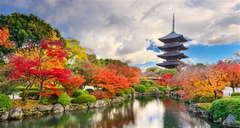 It is bordered on the west by the sea of japan, and extends from the sea of okhotsk in the north toward the east china. Japanese School in Tokyo - Autumnal Equinox Day (秋分の日 ...