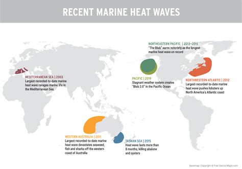 Marine Heat Waves Are Becoming More Common And Intense What Can We Do
