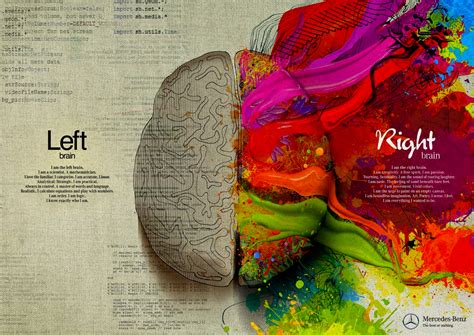 Left Brain Right Brain Wallpaper Wallpapersafari