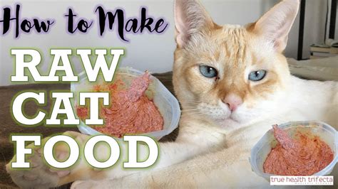 Our online ordering and delivery service makes raw pet food accessible to every pet owner in the lower mainland. How to Make RAW CAT FOOD (RECIPE) - Homemade Cat Food for ...
