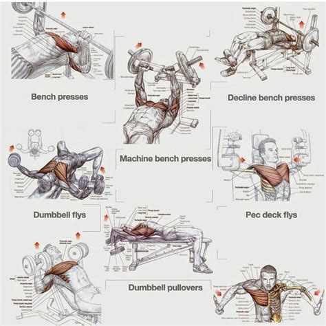 99 likes 7 comments gymhigh on instagram “try this intense chest workout for all round