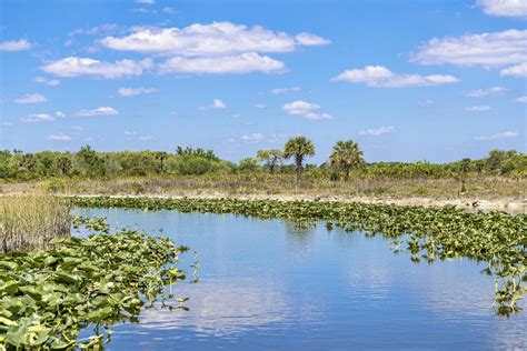 More Everglades Landscape Second Landscape Picture Taken D Flickr
