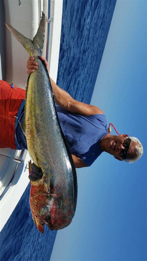 Best Lures For Marlin Wahoo Mahi Tuna — Florida Sportsman