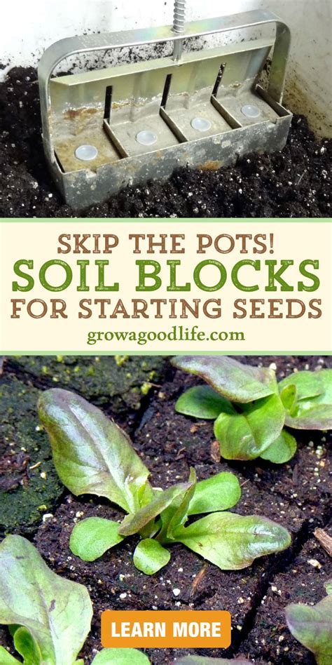 Soil Blocks To Grow Seedlings In 2021 Spring Vegetable Garden