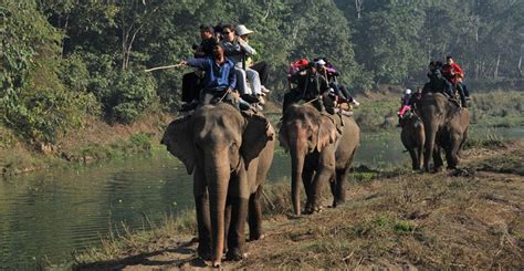 Nepal Jungle Safari Tours Paradise For Adventure