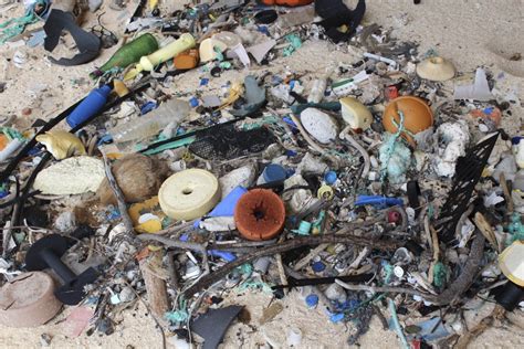 Henderson Island 38m Pieces Of Trash Washed Ashore From Pacific Ocean