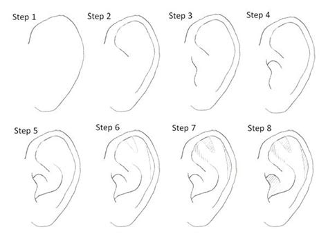 79 Best Drawing Tips The Ear Images On Pinterest Drawing Drawing