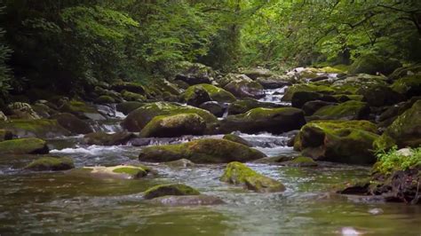Natural Landscape Beauty Of The Blue Ridge Mountains
