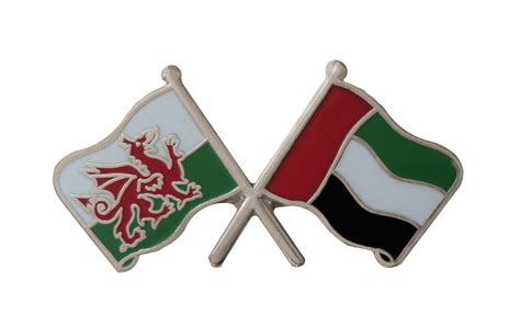 United Arab Emirates UAE And Wales Friendship Flag Pin Badge