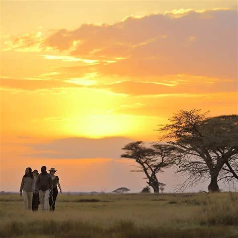 Serengeti National Park Travel Information Tanzania
