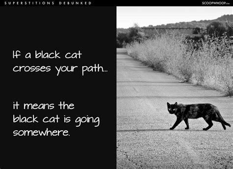 13 Indian Superstitions And What They Actually Mean Black Cat