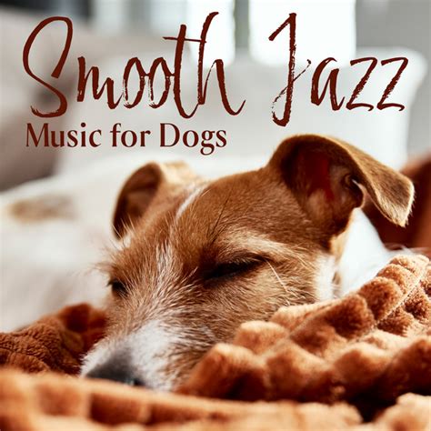Calming Jazz Relax Academy Spotify