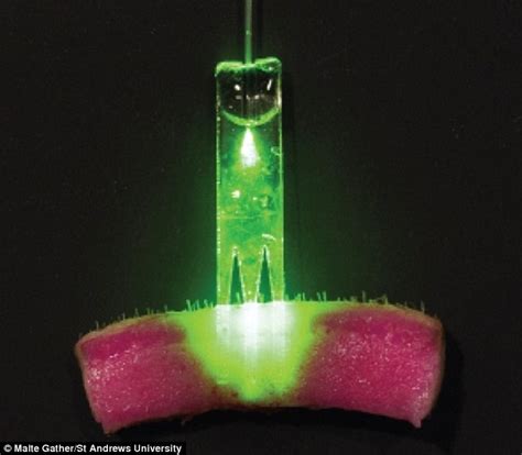 How a doctor closes an incision depends upon how the wound was made. One Step Closer To The Dermal Regenerator - Gadgetzz