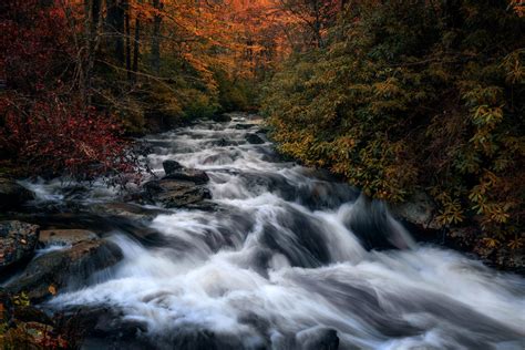 Smoky Mountain Autumn Stream — Matthew Cooper Photography