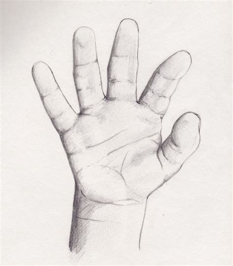 Andrew Kiefer Illustration Baby Hand