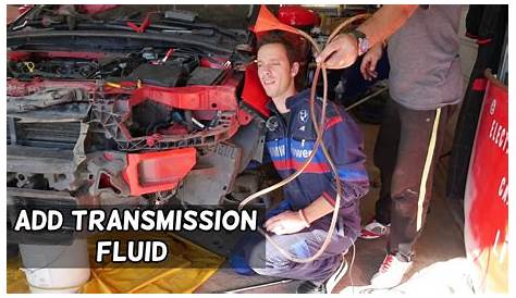 2013 ford focus transmission fluid check