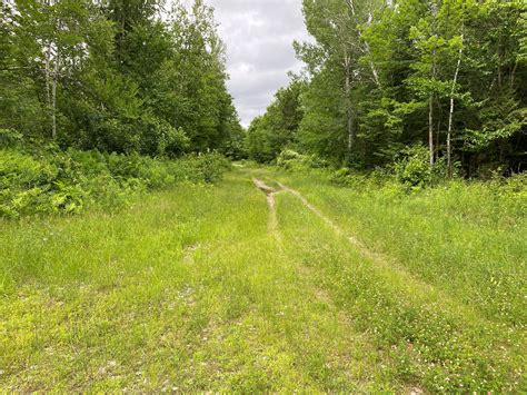 Recreational Hunting Land For Sale In Maine