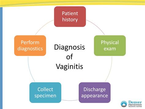 Ppt Vaginitis Pelvic Inflammatory Disease Powerpoint Presentation